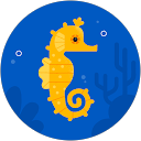 Shelby profile picture